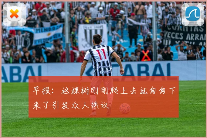 早报：这棵树刚刚爬上去就匆匆下来了引发众人热议