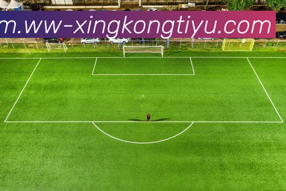 星空体育平台生态图